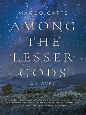 cover image of Among the Lesser Gods: a Novel